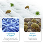 joya Laundry Pods for Clothes Cleaning